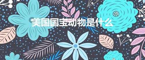 美国国宝动物是什么(是不是秃鹰)