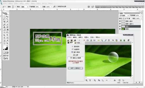 Photoshop将制作出漂亮绿叶上的水珠