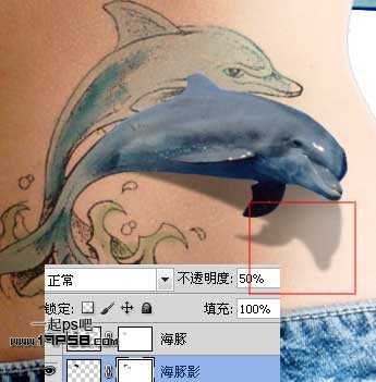 photoshop制作出漂亮的海豚立体纹身效果