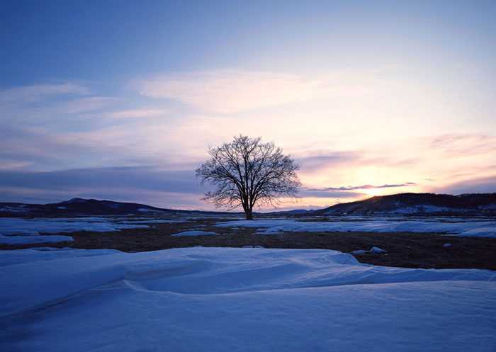 Photoshop将婚片打造出唯美的梦幻冬季雪景效果