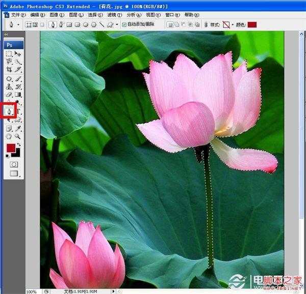 如何使用PS虚化背景突出主体 Photoshop高斯模糊实例教程