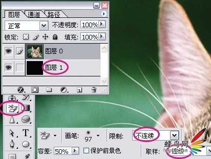 photoshop利用通道为猫咪画面选出主体