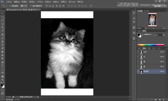 使用Photoshop合成创意的星空装饰的猫咪图片